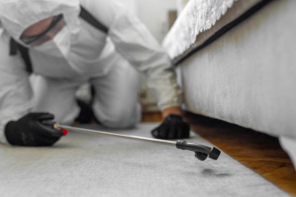 Professional Termite Control technician working in Klamath Falls, OR