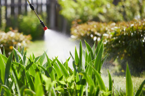 24/7 Emergency Termite Control experts in Klamath Falls, OR