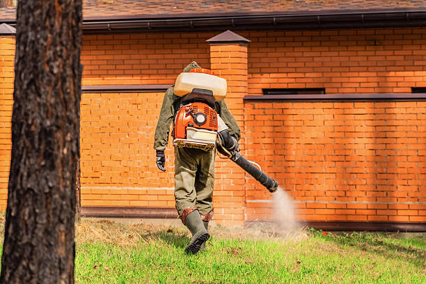 Top rated local Termite Control specialists in Klamath Falls, OR